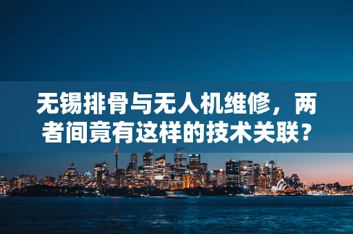 无锡排骨与无人机维修，两者间竟有这样的技术关联？