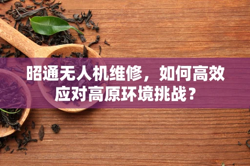 昭通无人机维修，如何高效应对高原环境挑战？