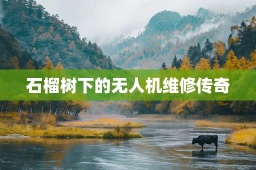 石榴树下的无人机维修传奇