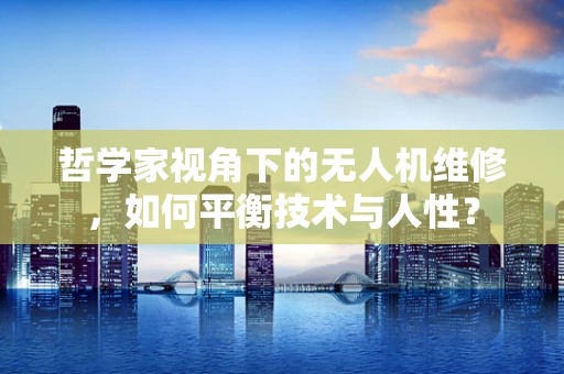 哲学家视角下的无人机维修，如何平衡技术与人性？