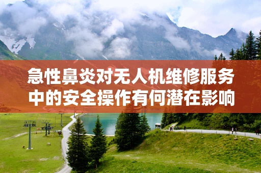 急性鼻炎对无人机维修服务中的安全操作有何潜在影响？