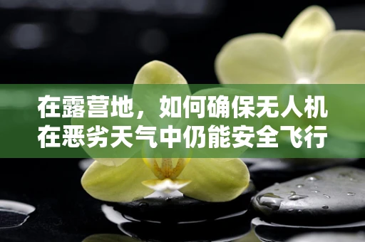 在露营地，如何确保无人机在恶劣天气中仍能安全飞行？