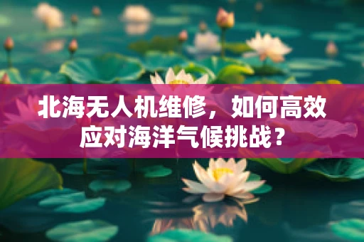北海无人机维修，如何高效应对海洋气候挑战？