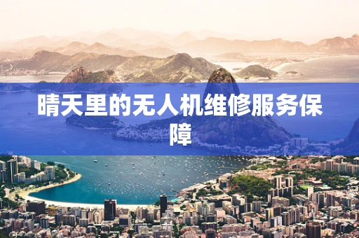 晴天里的无人机维修服务保障