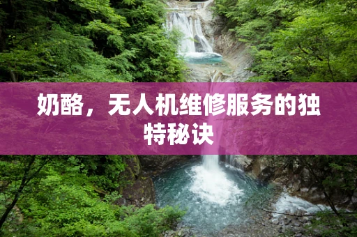奶酪，无人机维修服务的独特秘诀