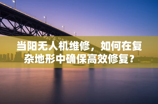 当阳无人机维修，如何在复杂地形中确保高效修复？