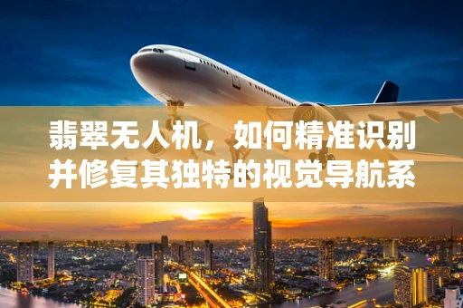 翡翠无人机，如何精准识别并修复其独特的视觉导航系统故障？