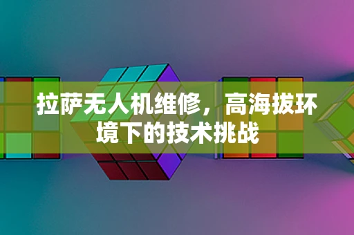 拉萨无人机维修，高海拔环境下的技术挑战