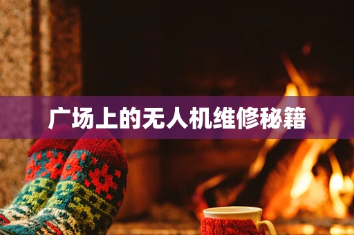 广场上的无人机维修秘籍
