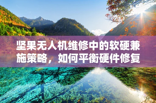 坚果无人机维修中的软硬兼施策略，如何平衡硬件修复与软件优化？
