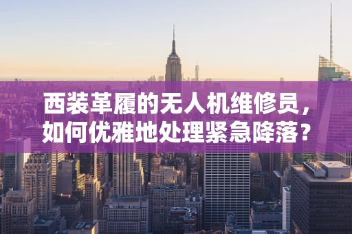 西装革履的无人机维修员，如何优雅地处理紧急降落？
