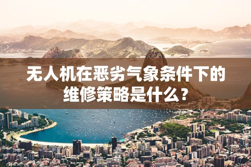 无人机在恶劣气象条件下的维修策略是什么？