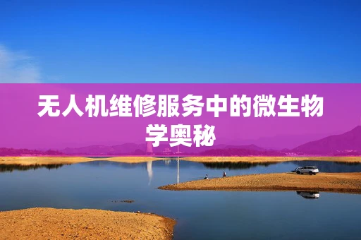 无人机维修服务中的微生物学奥秘