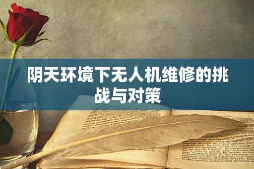 阴天环境下无人机维修的挑战与对策