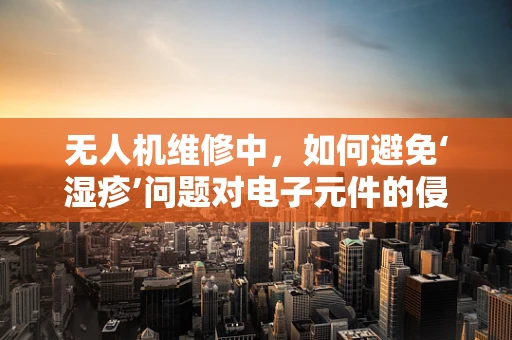 无人机维修中，如何避免‘湿疹’问题对电子元件的侵蚀？