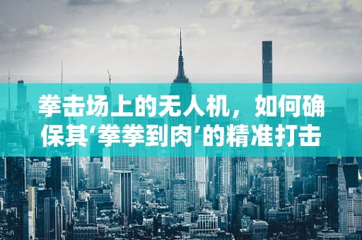 拳击场上的无人机，如何确保其‘拳拳到肉’的精准打击不受损伤？
