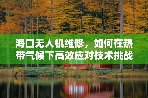 海口无人机维修，如何在热带气候下高效应对技术挑战？
