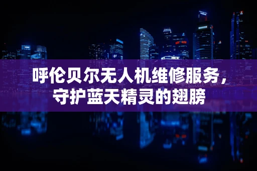 呼伦贝尔无人机维修服务，守护蓝天精灵的翅膀