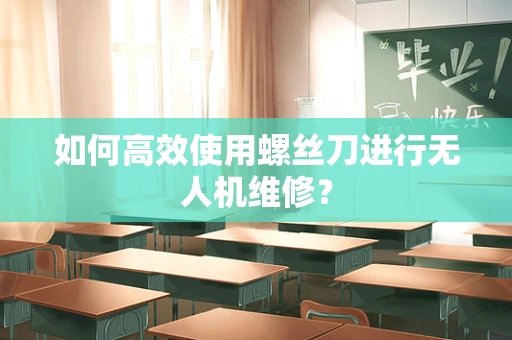如何高效使用螺丝刀进行无人机维修？