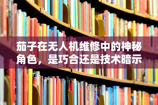 茄子在无人机维修中的神秘角色，是巧合还是技术暗示？