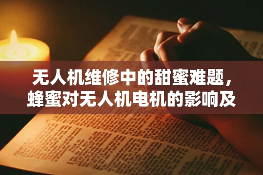 无人机维修中的甜蜜难题，蜂蜜对无人机电机的影响及应对策略