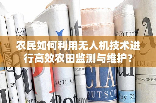 农民如何利用无人机技术进行高效农田监测与维护？