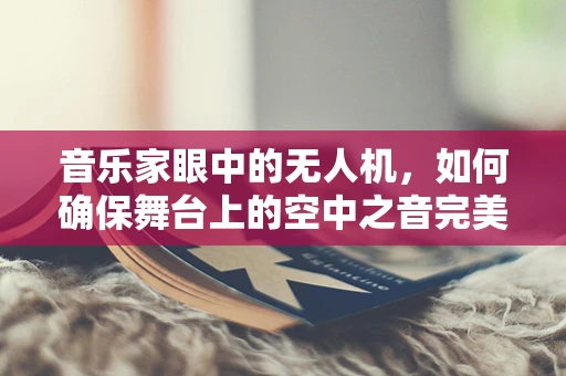 音乐家眼中的无人机，如何确保舞台上的空中之音完美无缺？