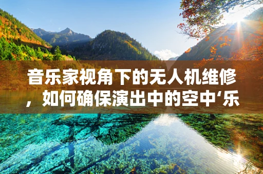 音乐家视角下的无人机维修，如何确保演出中的空中‘乐章’完美无缺？