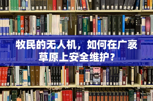 牧民的无人机，如何在广袤草原上安全维护？