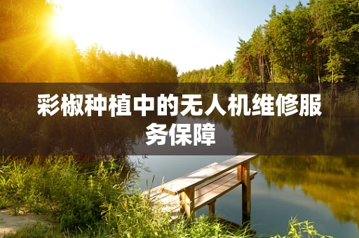彩椒种植中的无人机维修服务保障