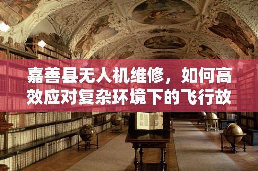 嘉善县无人机维修，如何高效应对复杂环境下的飞行故障？