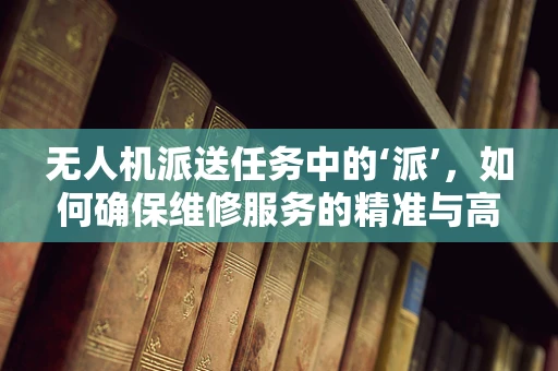 无人机派送任务中的‘派’，如何确保维修服务的精准与高效？