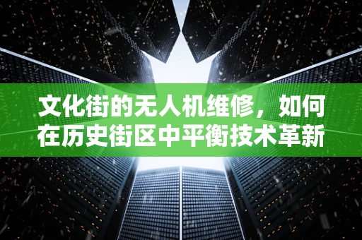 文化街的无人机维修，如何在历史街区中平衡技术革新与文化保护？