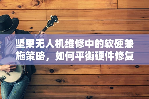 坚果无人机维修中的软硬兼施策略，如何平衡硬件修复与软件优化？