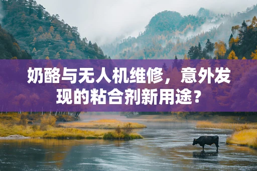 奶酪与无人机维修，意外发现的粘合剂新用途？
