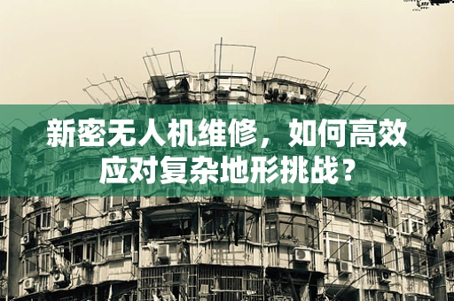 新密无人机维修，如何高效应对复杂地形挑战？