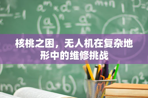 核桃之困，无人机在复杂地形中的维修挑战