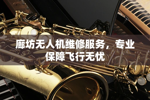 廊坊无人机维修服务，专业保障飞行无忧