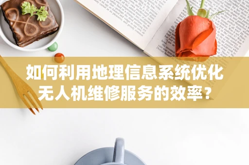如何利用地理信息系统优化无人机维修服务的效率？