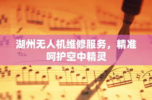 湖州无人机维修服务，精准呵护空中精灵