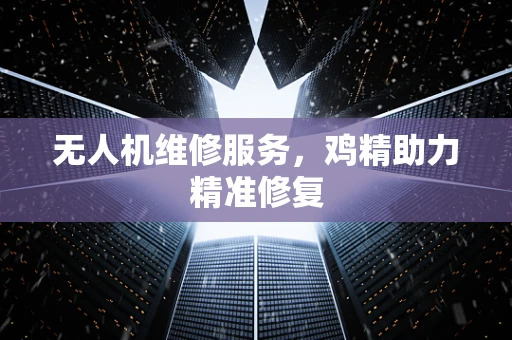 无人机维修服务，鸡精助力精准修复