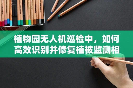 植物园无人机巡检中，如何高效识别并修复植被监测相机的故障？