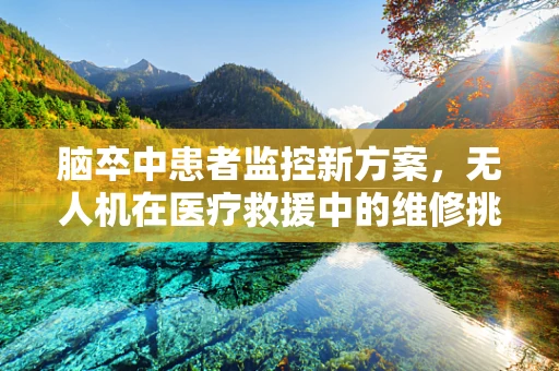 脑卒中患者监控新方案，无人机在医疗救援中的维修挑战与对策