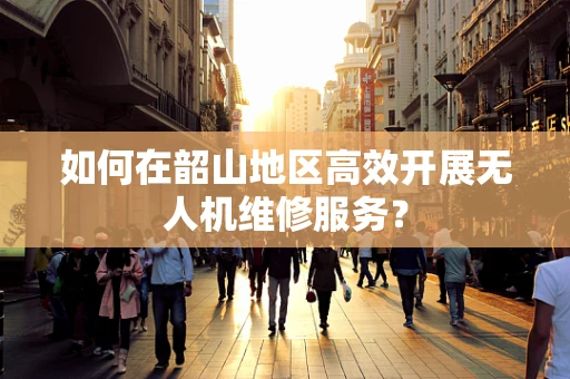如何在韶山地区高效开展无人机维修服务？