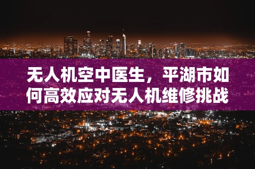 无人机空中医生，平湖市如何高效应对无人机维修挑战？