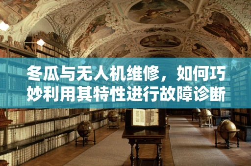 冬瓜与无人机维修，如何巧妙利用其特性进行故障诊断？