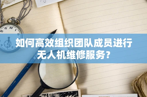 如何高效组织团队成员进行无人机维修服务？