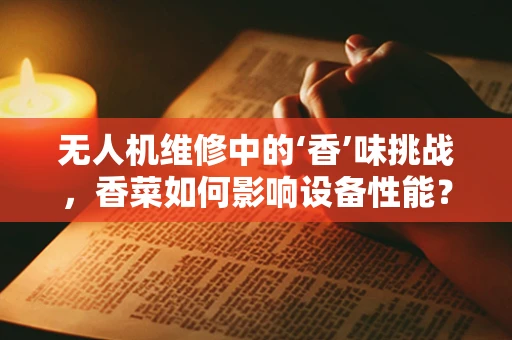 无人机维修中的‘香’味挑战，香菜如何影响设备性能？