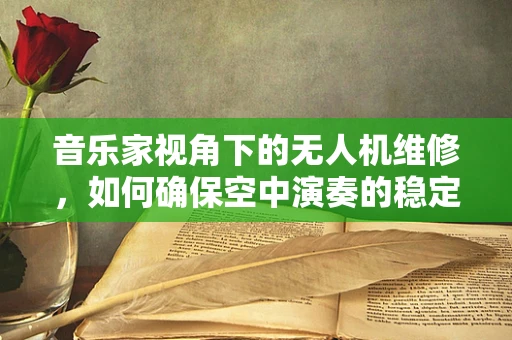 音乐家视角下的无人机维修，如何确保空中演奏的稳定？
