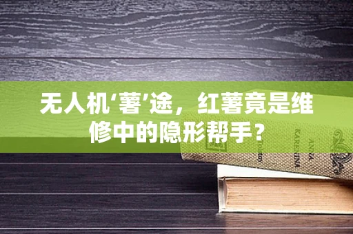 无人机‘薯’途，红薯竟是维修中的隐形帮手？